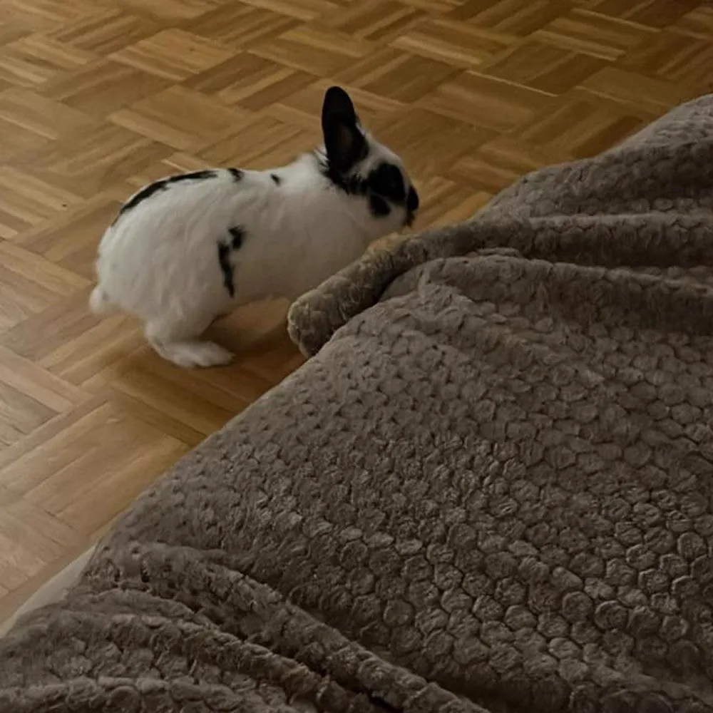 Zak in the living room